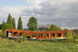 柑橘苗木修剪技術視頻講解圖(柑橘苗木修剪技術視頻講解圖片)