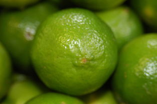 柑橘葉片發(fā)黑什么病（柑橘葉片黑色霉層）