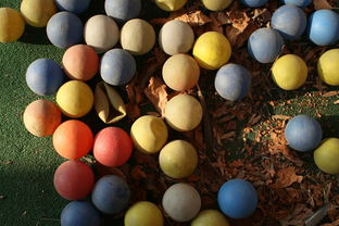 今年衢州椪柑產量多嗎（衢州椪柑怎么賣）